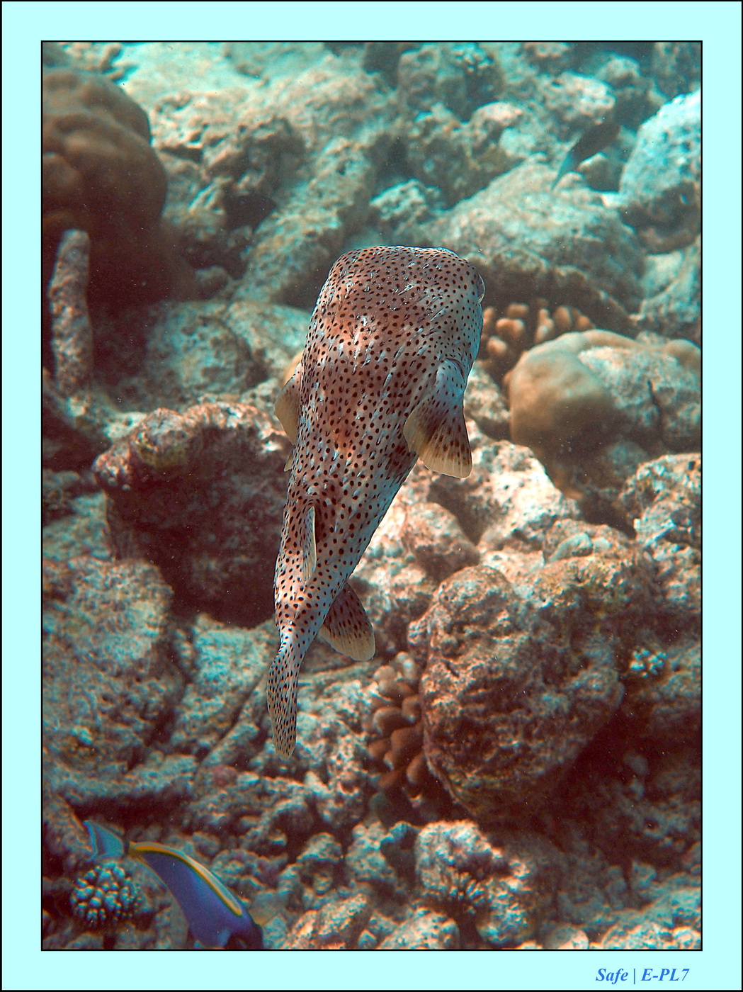 2023 - 07 - Sandies Bathala - 207